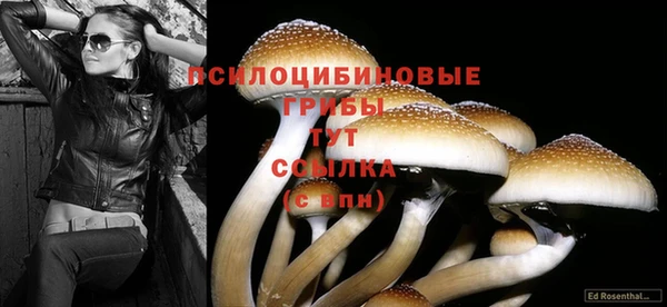 герыч Абаза