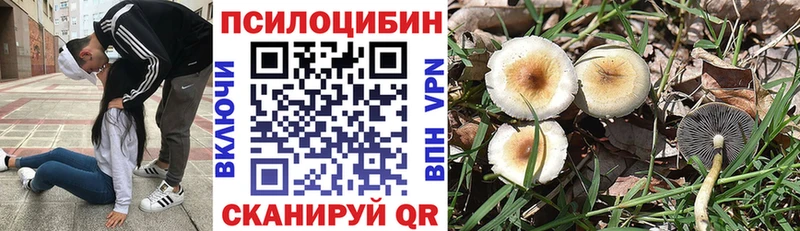 где купить наркотик  Пенза  Галлюциногенные грибы Psilocybine cubensis 