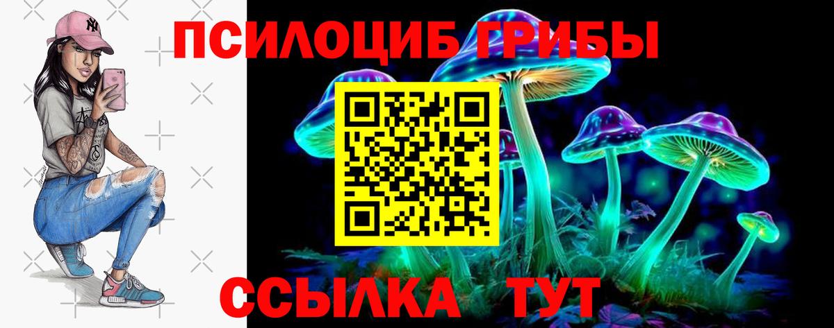 Пенза  Галлюциногенные грибы Psilocybine cubensis  Псилоцибиновые грибы MAGIC MUSHROOMS  Вход с VPN 